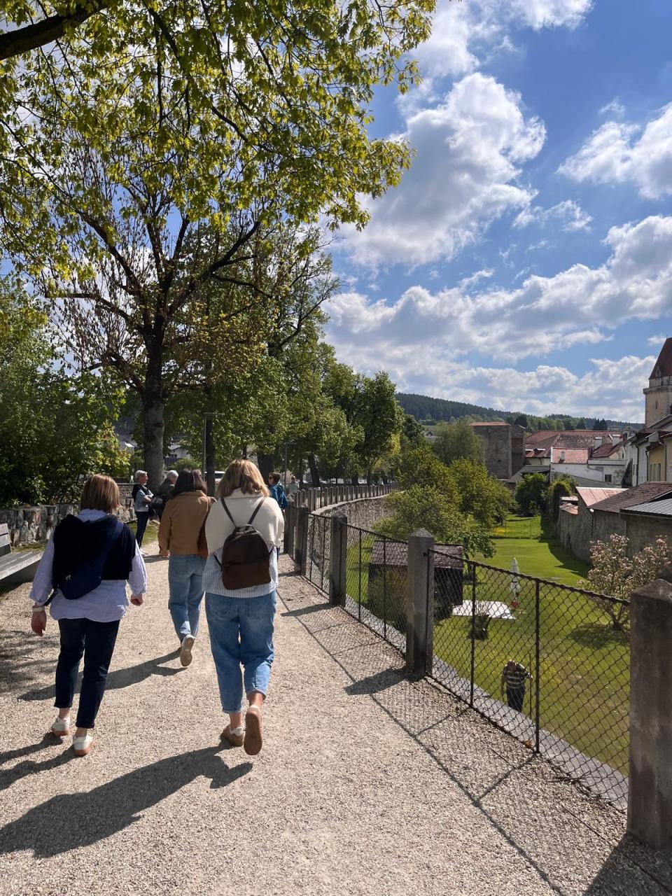 Die mittelalterliche Braustadt